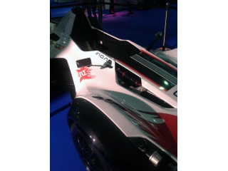 GRID2_Bac_Mono_3