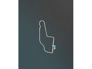 Watkins Glen Short