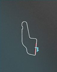 Watkins Glen Short