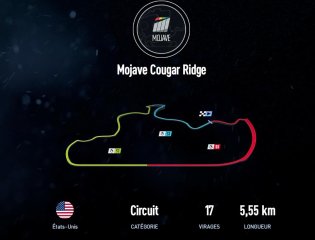 Mojave Cougar Ridge
