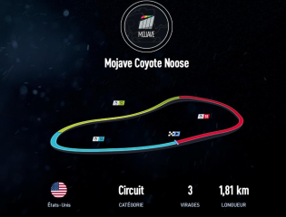Mojave Coyote Noose