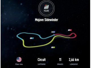 Mojave Sidewinder