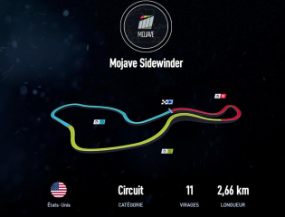 Mojave Sidewinder